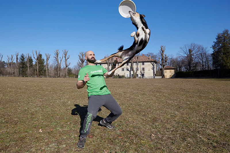 foto di Adrian Stoica - disc dog con cane
