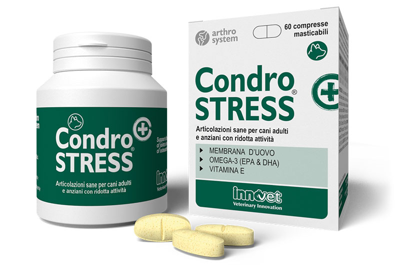 condrostress_innovet