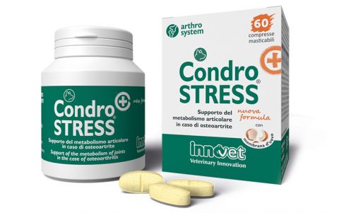 Condrostress_innovet packaging condrostress innovet