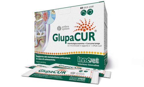 Glupacur_innovet packaging Glupacur innovet