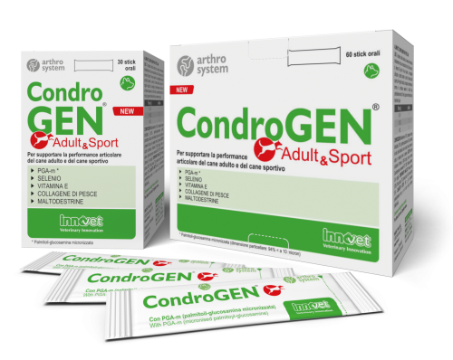 condrogenadultsportlinea