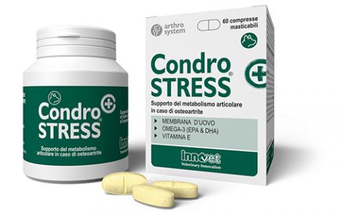 condrostress_innovet- packaging condrostress innovet