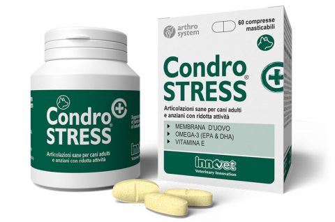 condrostress_innovet condrostress_innovet