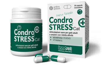 condrostress(+)cat30