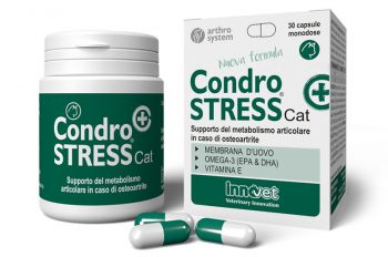 condrostress(+)cat30